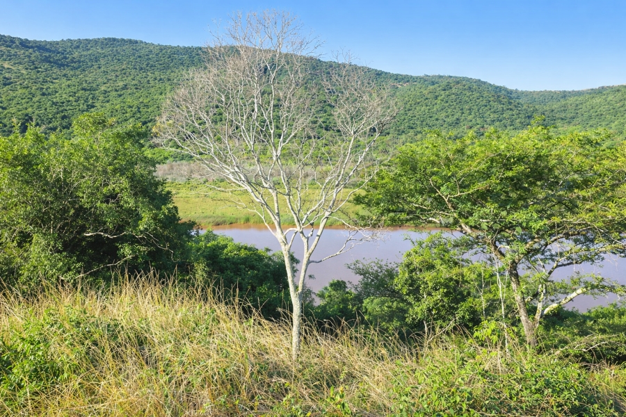6 Bedroom Property for Sale in Kei Mouth Eastern Cape